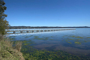 Podiatry clinic near Long Jetty