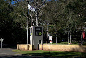 Podiatry clinic near Ourimbah